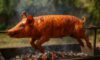 Using a Rotisserie for Whole Hog Cooking: Essential Tips